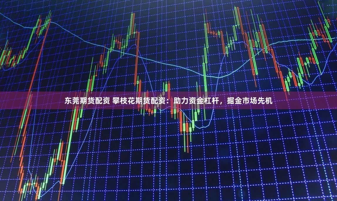 东莞期货配资 攀枝花期货配资：助力资金杠杆，掘金市场先机
