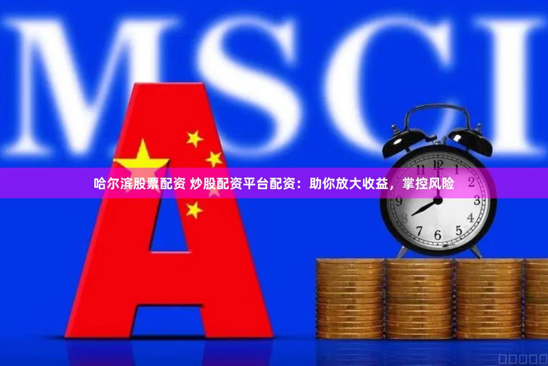 哈尔滨股票配资 炒股配资平台配资：助你放大收益，掌控风险