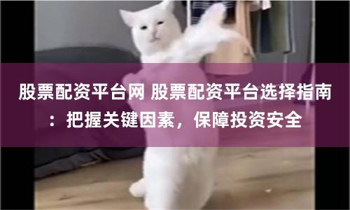 股票配资平台网 股票配资平台选择指南：把握关键因素，保障投资安全
