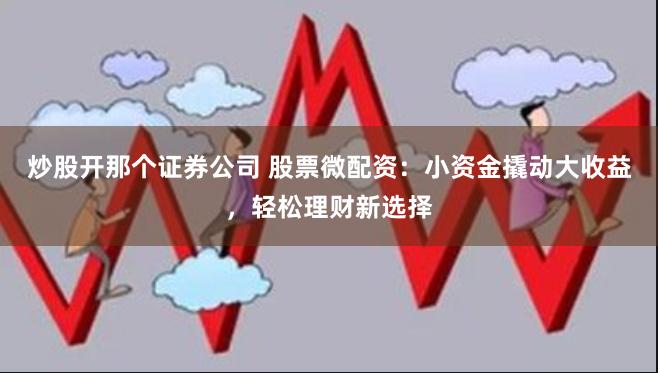 炒股开那个证券公司 股票微配资:小资金撬动大收益,轻松理财新选择