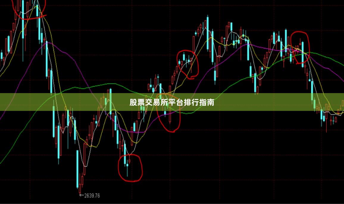 股票交易所平台排行指南