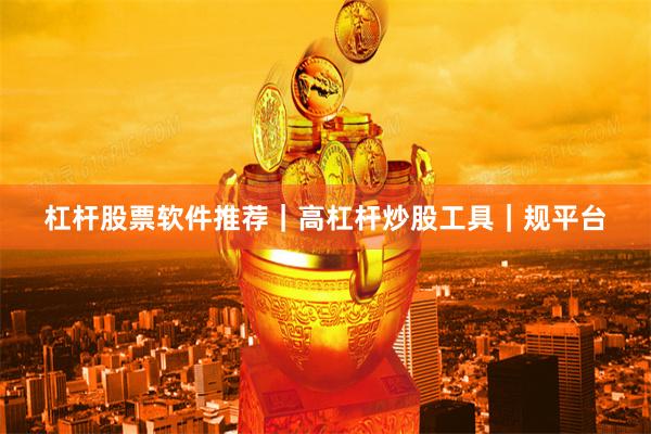 杠杆股票软件推荐｜高杠杆炒股工具｜规平台